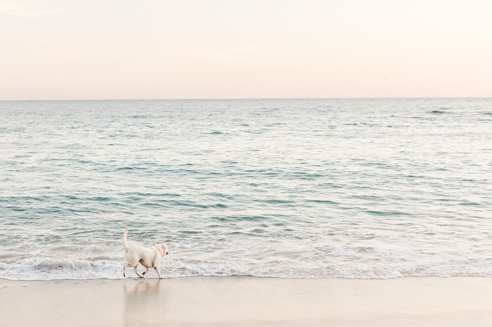 KPP Financial_Client Referral Program